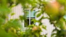 Bostadshus fotograferat genom buskage.